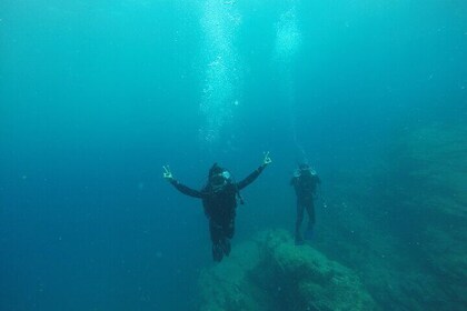 Full Day Diving Experience on Espiritu Santo Island