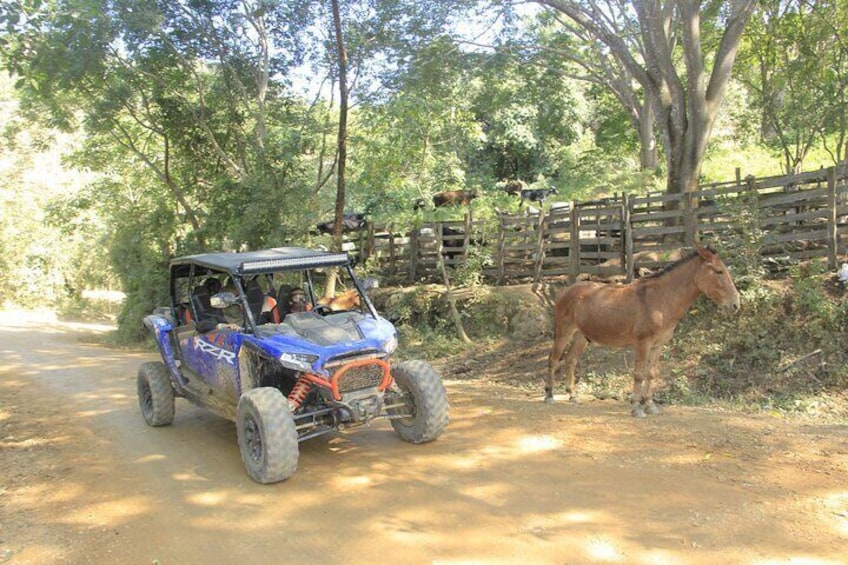 ATV OR RZR- Escape to the mountains for 4 hours