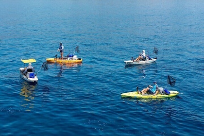 Kanjac Kayak Fishing Mlini