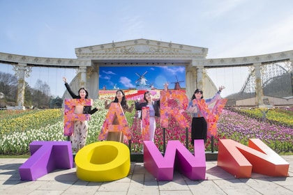 Sør-Korea: Everland Amusement Park Package Tour