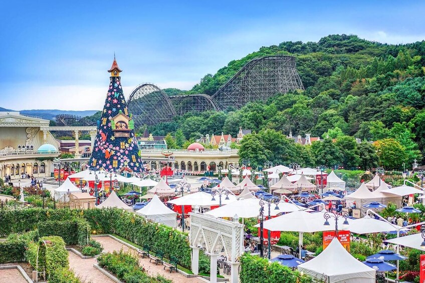 South Korea: Everland Amusement Park Package Tour