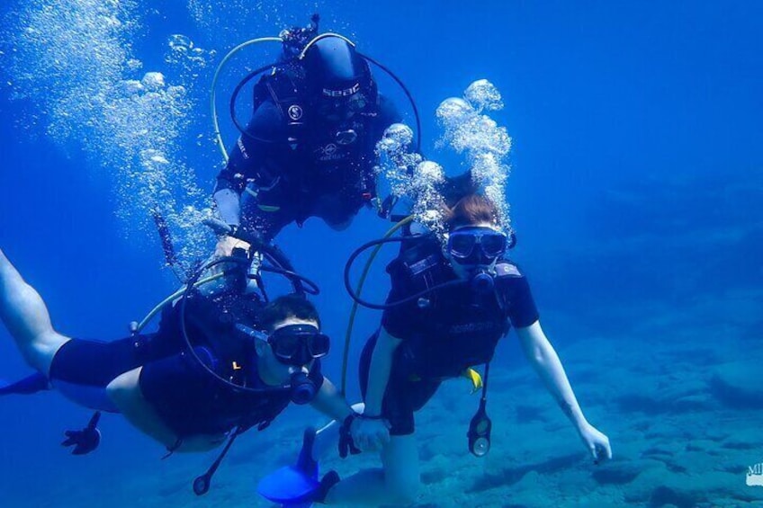 Beginner Diving Experience in Ligaria Bay