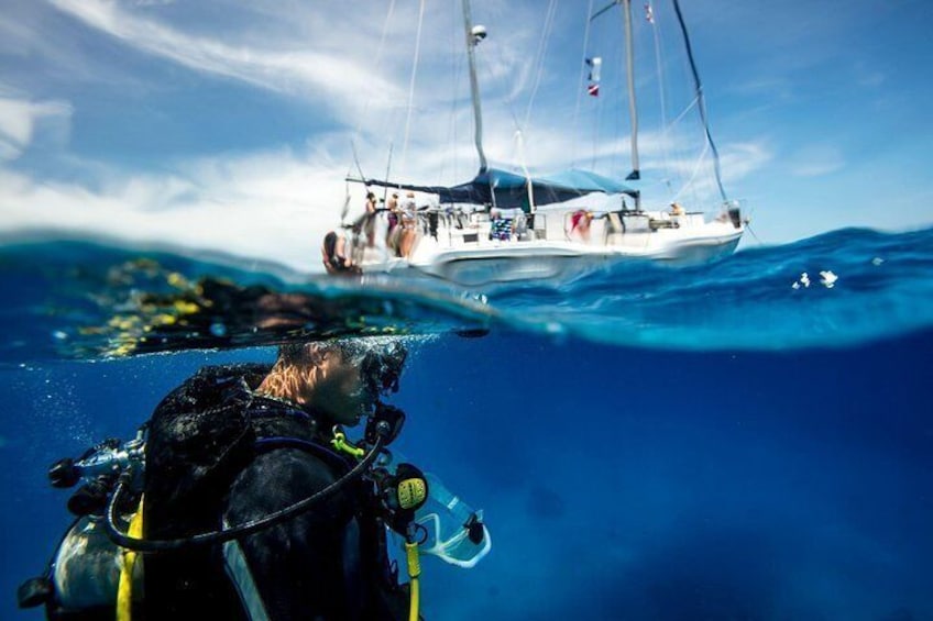 Beginner Diving Experience in Ligaria Bay