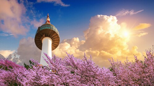 韩国：N 首尔塔