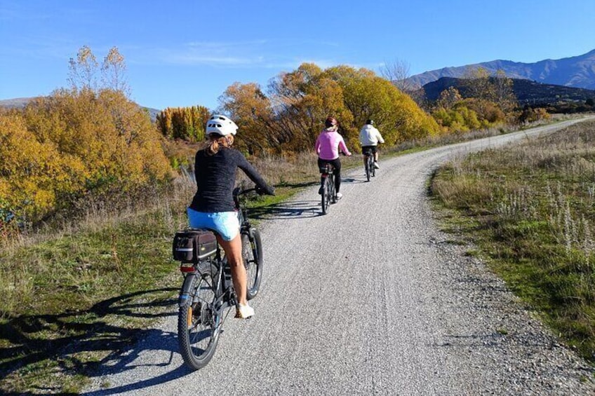 Bike the Wanaka and Hawea Trails