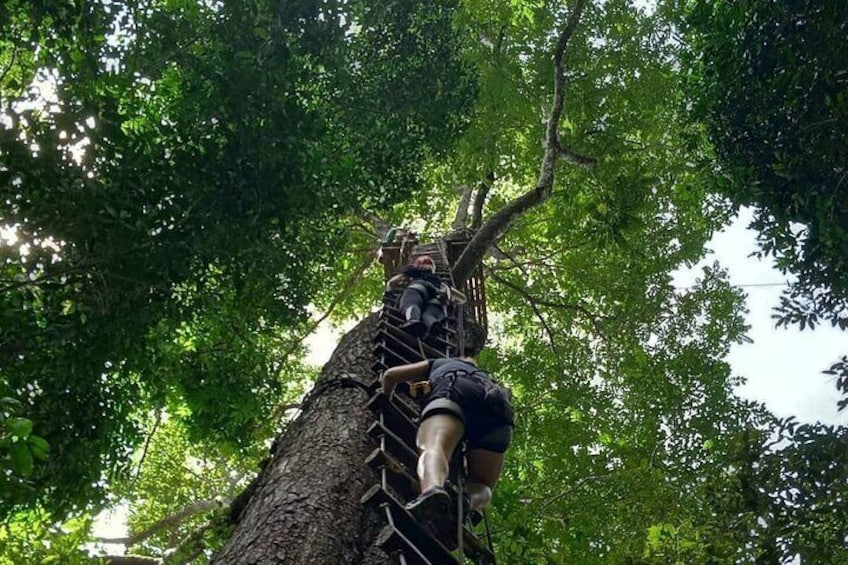 Half Day Zipline and Rainforest Exploration in Krabi