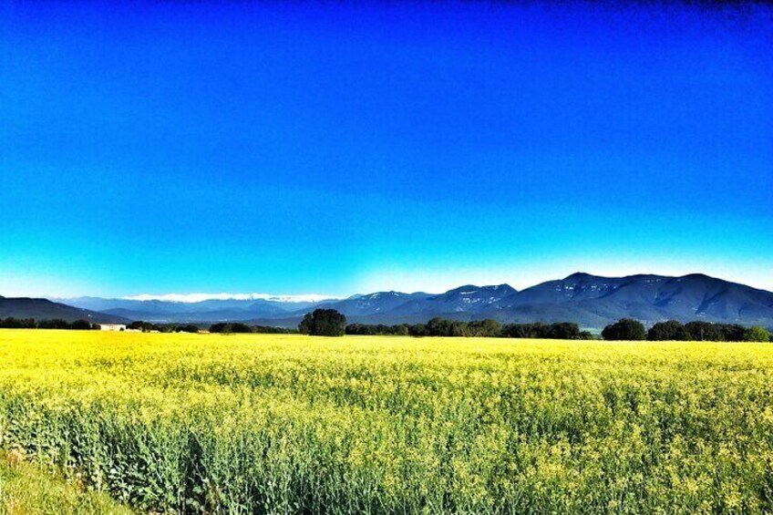 Serinya view of the Pyrenees