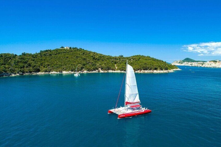 Tour in the Sea with Seagull