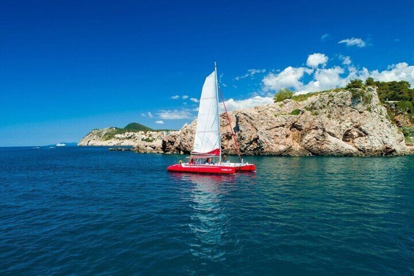 Tour in the Sea with Seagull