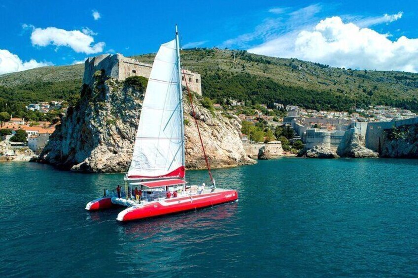 Tour in the Sea with Seagull