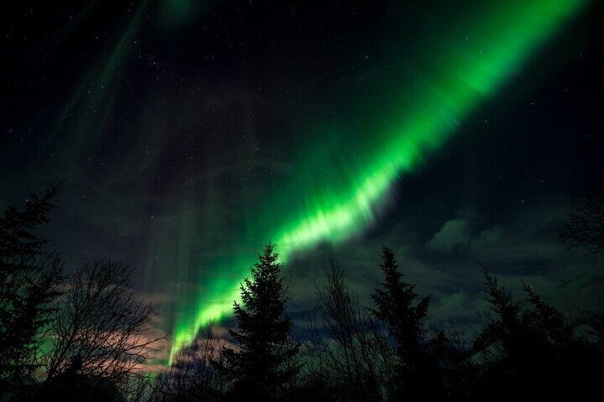 Small Group Aurora Hunt Tour in Tromsø Norway