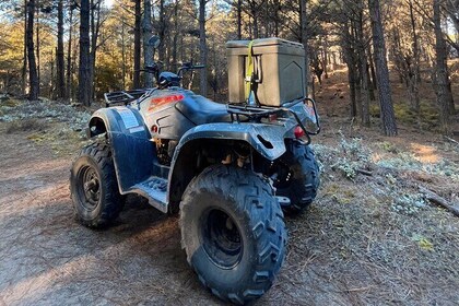 2-Hour Quad Biking Guided Excursion Through the Knysna Forests