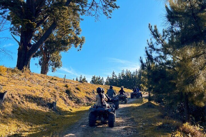 2-Hour Quad Biking Guided Excursion Through the Knysna Forests 