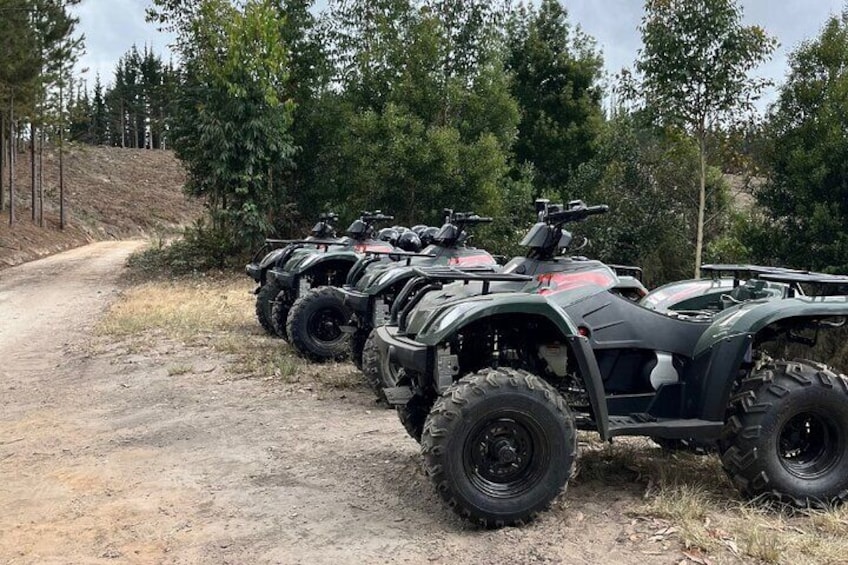 2-Hour Quad Biking Guided Excursion Through the Knysna Forests 