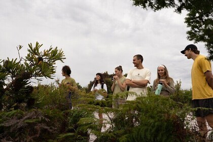 Coastal Nature Full-Day Walking Tour in Lennox Head