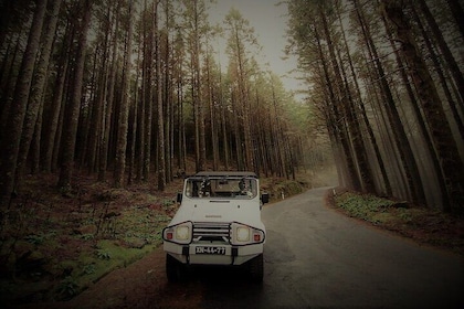 4x4 Jeep Tour to East & Northeast of Madeira