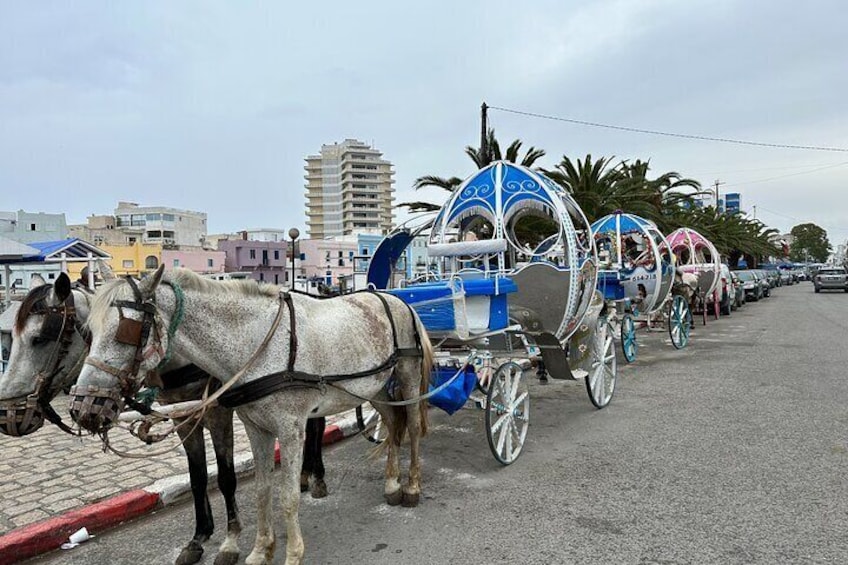 Bozerte horse-drawn carriages
