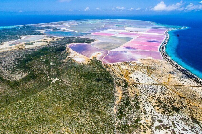 Explore the North and South Tour of Bonaire