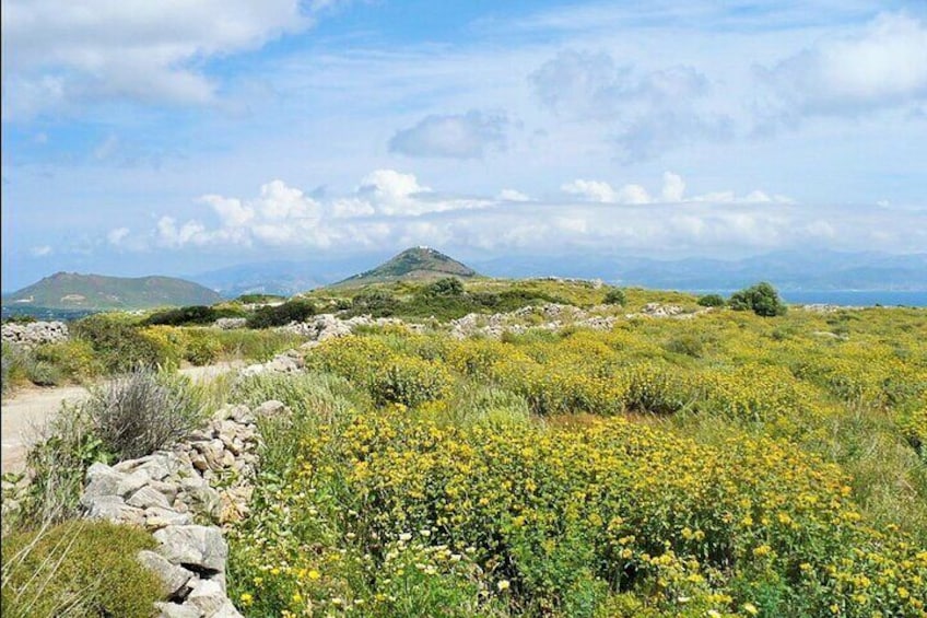 Private Lefkes Byzantine Path Ancient Greek Route Hike