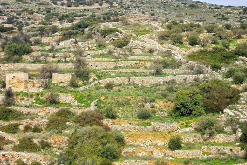 Private Lefkes Byzantine Path Ancient Greek Route Hike