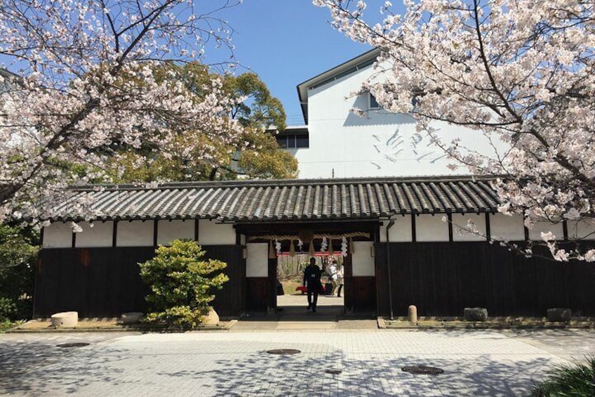 Sake Tasting at Local Breweries in Kobe