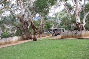 Admission to Bonorong Wildlife Sanctuary