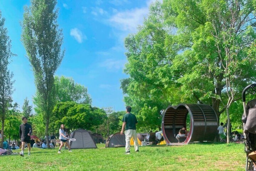 Local Seoul Tour at Traditional Market with Han River Picnic