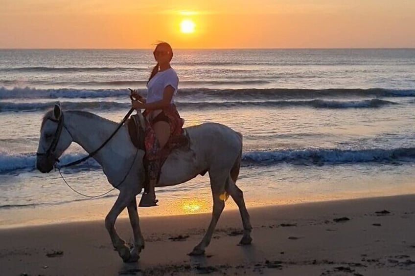 Riding on horseback along the pristine shores of the Caribbean is an unforgettable adventure and a perfect way to explore the beauty of the coastline. 