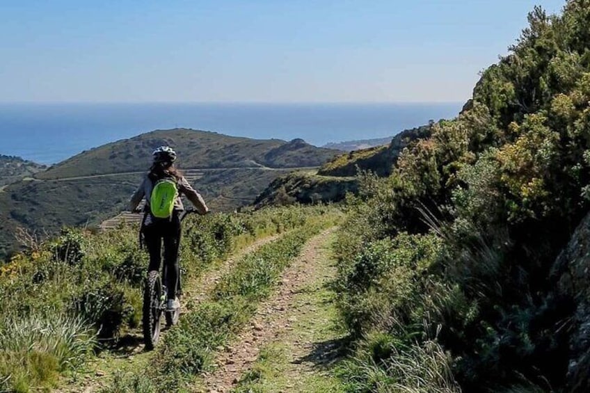 Scooter Les Hauts de Collioure