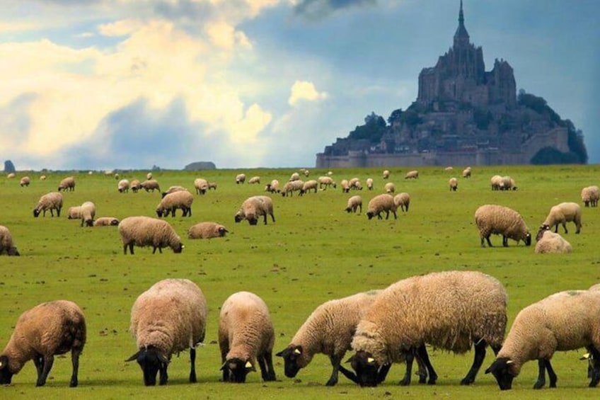 Mont St Michel Small Group Guided Day Tour from Paris by minivan