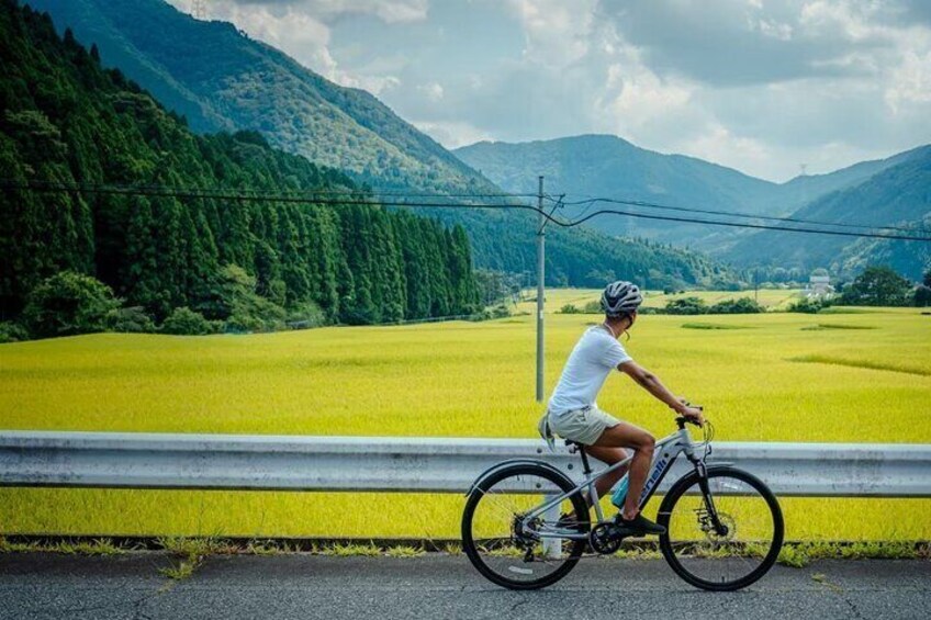 Cycle between the valleys and see beautiful farmland scenery and every day life of locals in Japan.