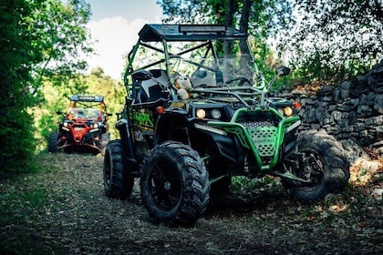 Istra Buggy Tours - Fazana