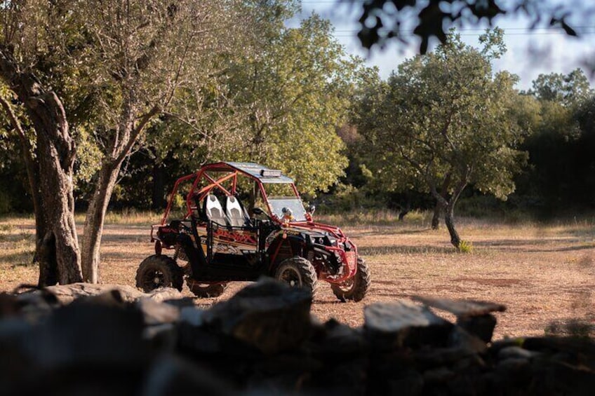 Small-Group Fazana Buggy Tour