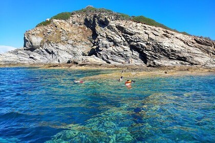 Half Day of Snorkelling and a Swim on Elba Island