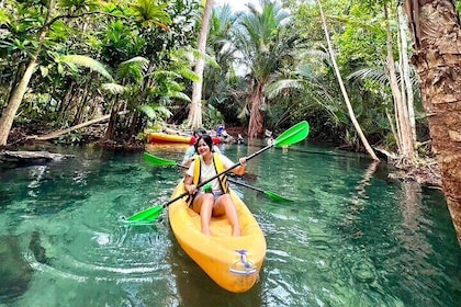Kayak at Klongnamsai (Klong root)