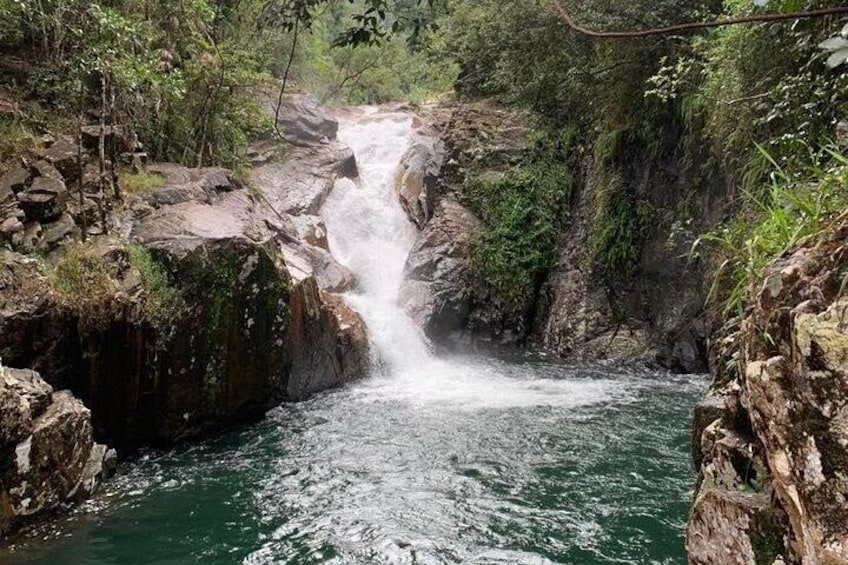 Chasing Waterfalls at Finch Hatton Gorge
