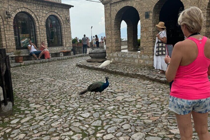 Private 2 day Tour of Kosovo and North Macedonia from Tirana