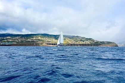 3-hour tour on a luxury catamaran