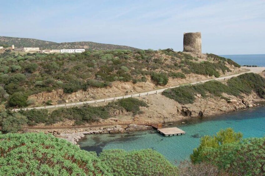 From Stintino | Minivan Day Tour to Asinara National Park
