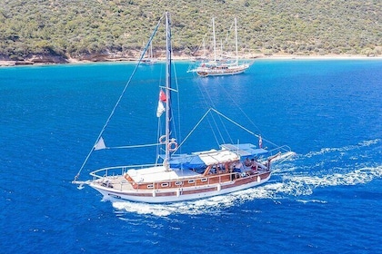 Private Boat Experience in Bodrum Coast with Snorkelling and Coves