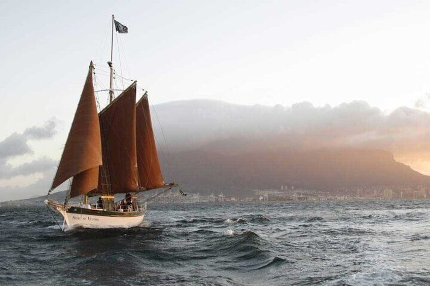 Cape Town 1.5 Hours Sunset Cruise - The Spirit of Victoria