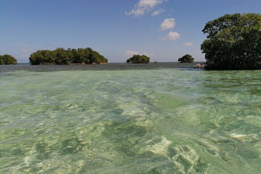 Boat trip in the great all-inclusive marine cul-de-sac