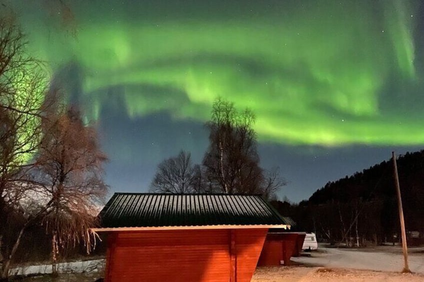 4 Days, 3 Countries Tour: Northern Lights and Moose