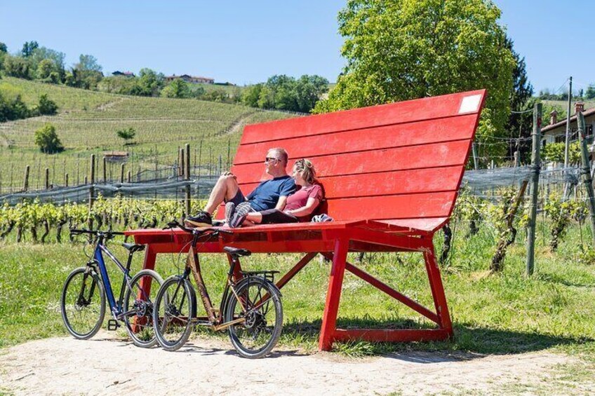 E-bike in the Langhe: Landscapes, wines and cuisine.