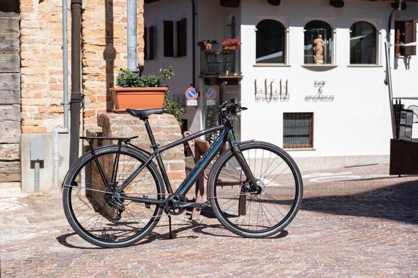 E-bike in the Langhe: Landscapes, wines and cuisine.