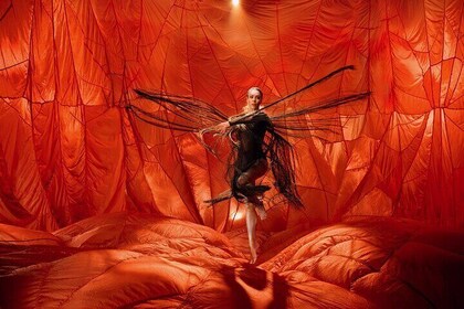 Bangarra Dance Theatre at the Sydney Opera House — ILLUME
