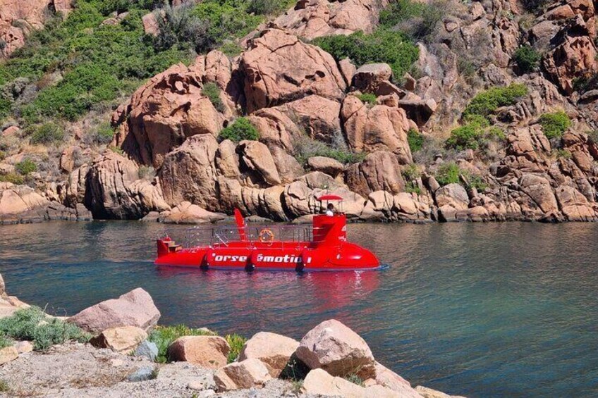 Semi-submarine: visit to the seabed of Porto Bay