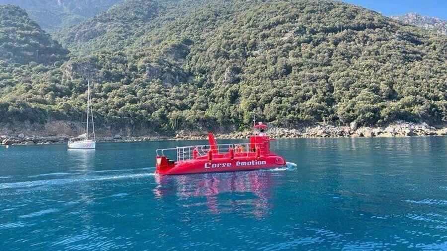 Semi-submarine: visit to the seabed of Porto Bay