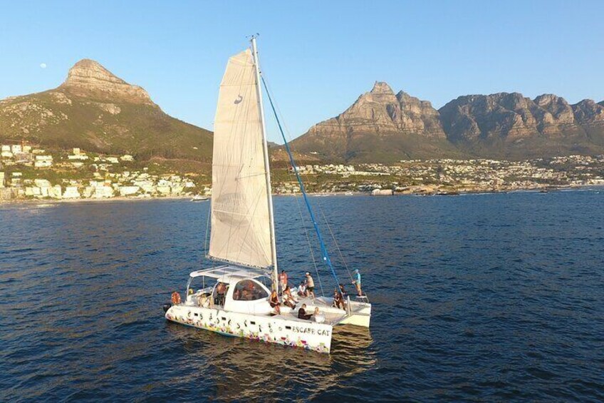 Cape Town Sunset 1.5 Hour - Escape Cat