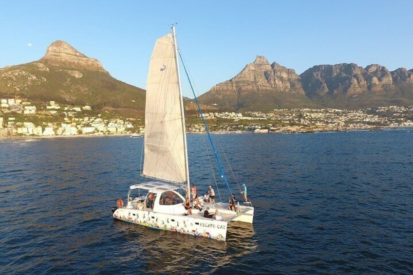 Cape Town Sunset 1.5 Hour - Escape Cat